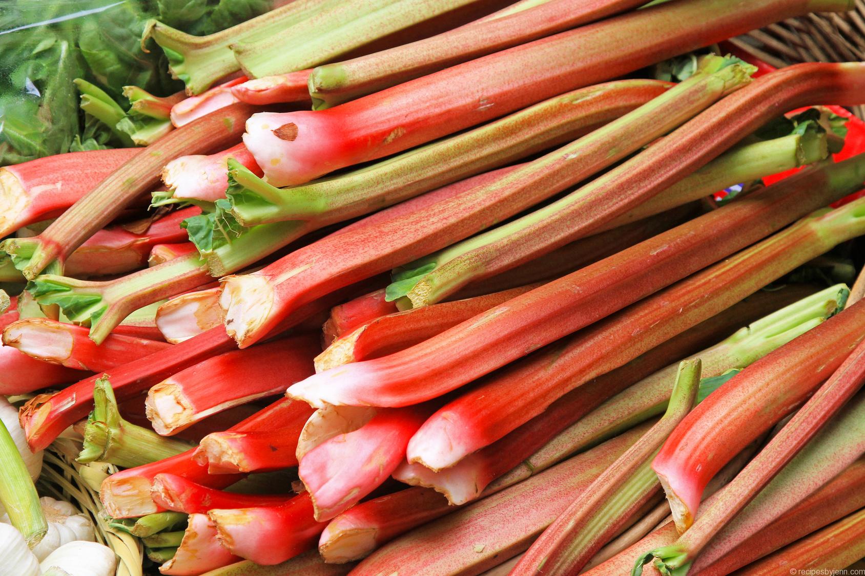 Big pile of organically grown rhubarb vegetable