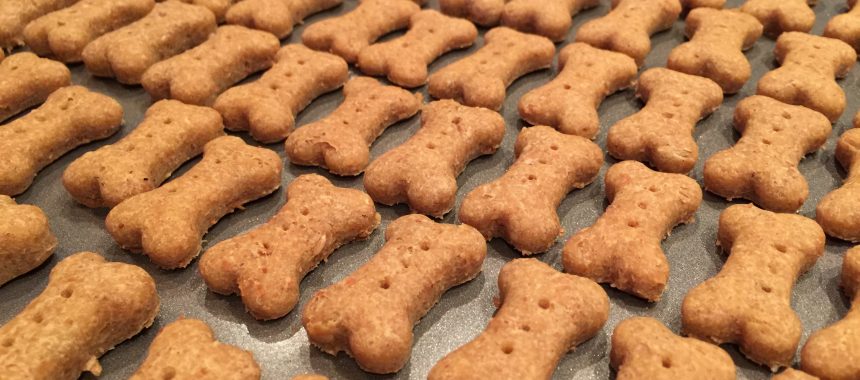 Easy Peanut Butter Bones Treats for Small Dogs